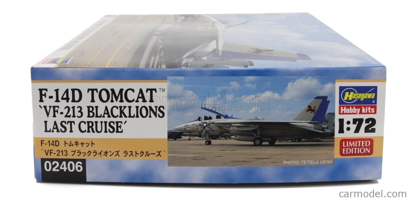 Hasegawa Grumman F-14d Tomcat Vf-213 Blacklions Last Cruise Military Airplane 1974 1:72 /