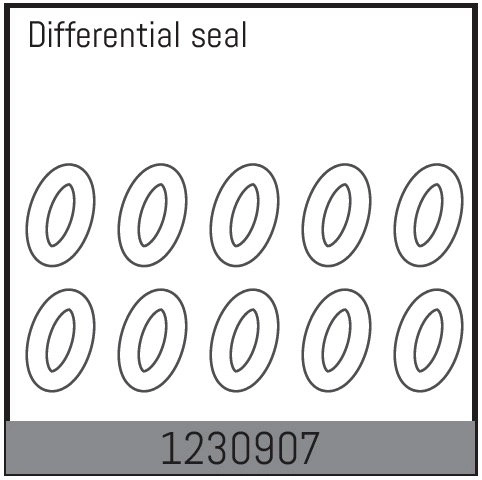 1230907 - Differential O-Rings (10)