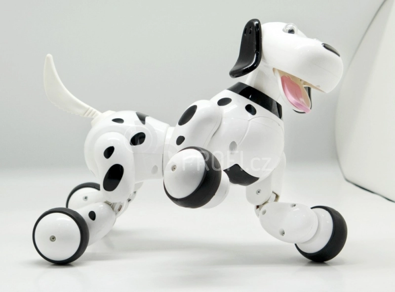 BAZÁR – RC Robo-Dog pes
