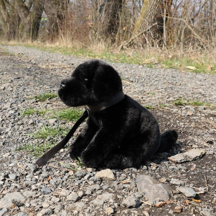 Rappa Plyšový pes labrador čierny 25 cm ECO-FRIENDLY