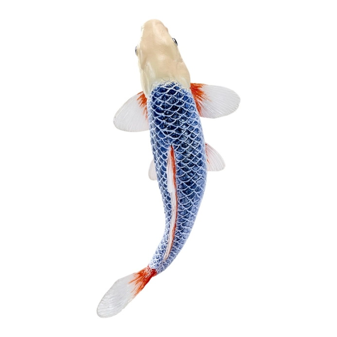 Mojo Kapr koi asagi