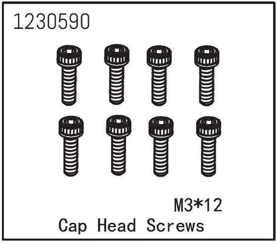 Cap Head Screw M3*12 (8)