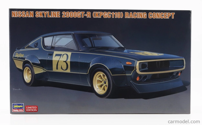 Hasegawa Nissan Skyline 2000 Gt-r N 73 (kpgc110) Racing Concept 1973 1:24 /