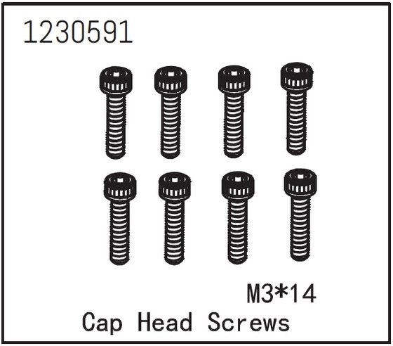 Cap Head Screw M3*14 (8)
