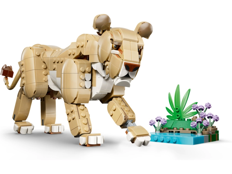 LEGO Creator - Divoká zvířata: Majestátní lev