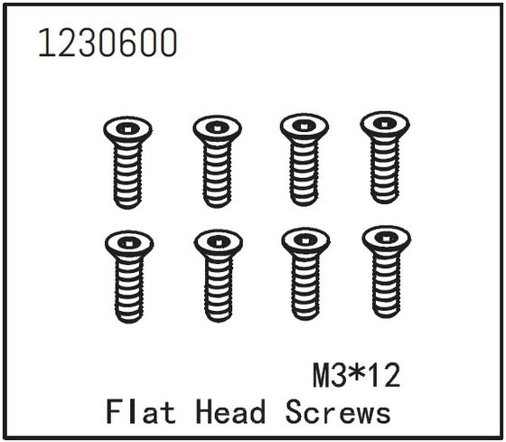 Flat Head Screw M3*12 (8)