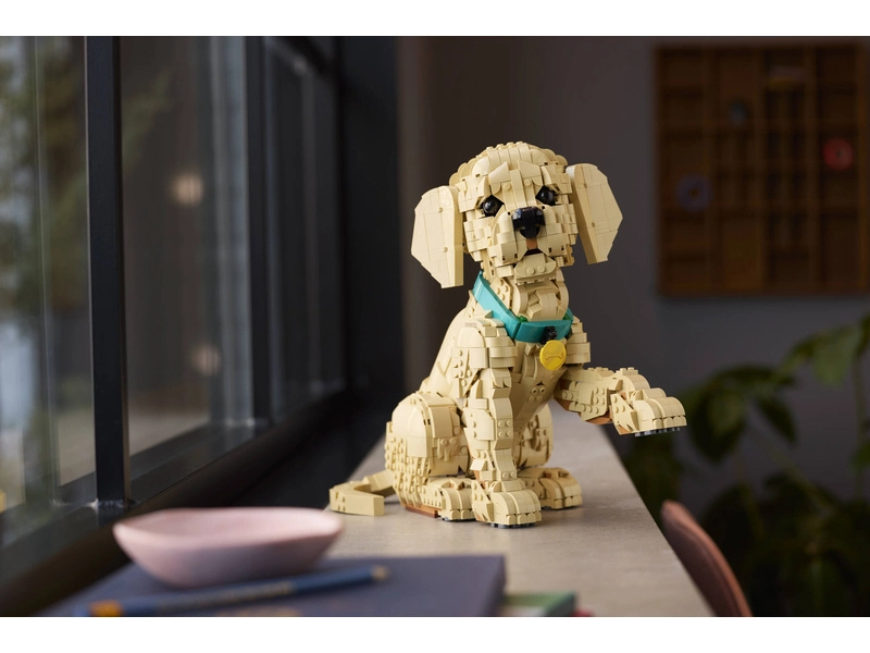 LEGO Icons - Štěně zlatého retrívra