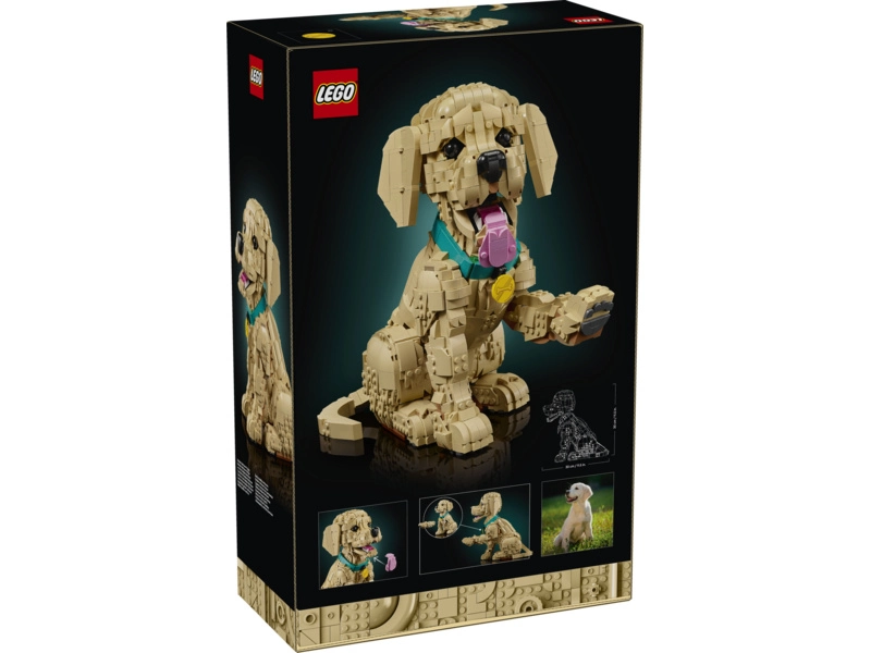 LEGO Icons - Štěně zlatého retrívra