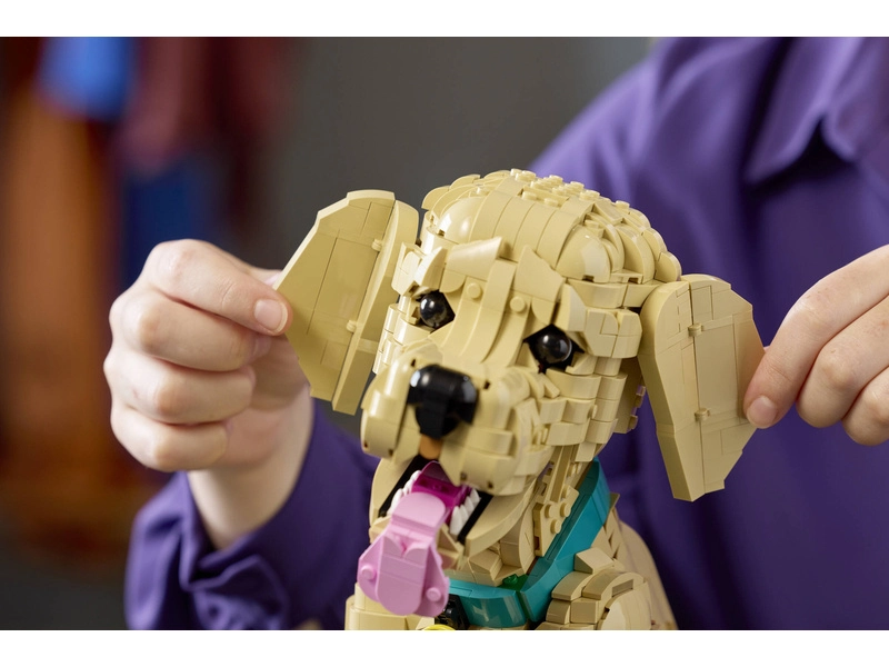 LEGO Icons - Štěně zlatého retrívra