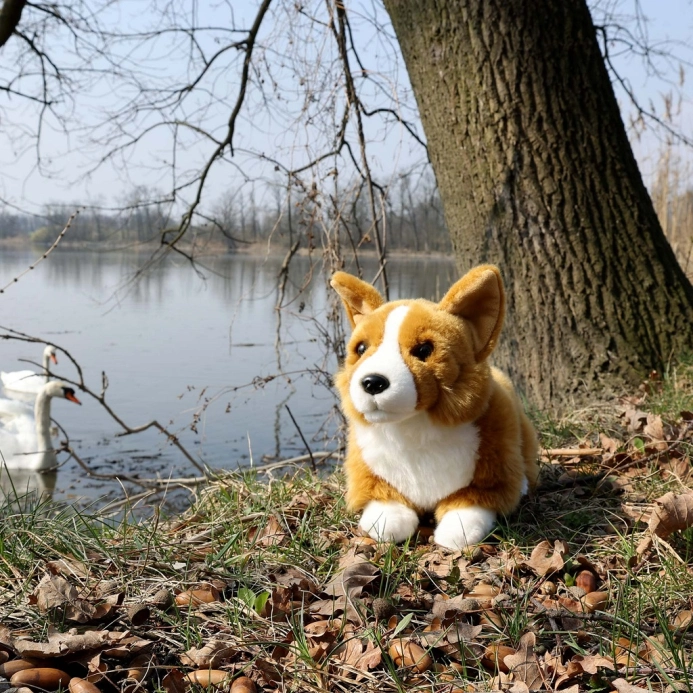Rappa Plyšový pes corgi 32 cm ECO-FRIENDLY
