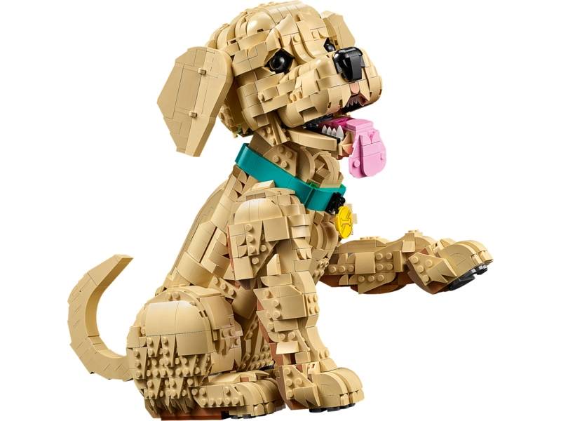 LEGO Icons - Štěně zlatého retrívra