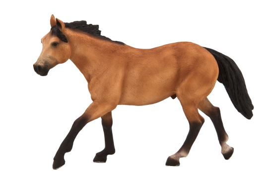 Mojo Quarter horse plavák
