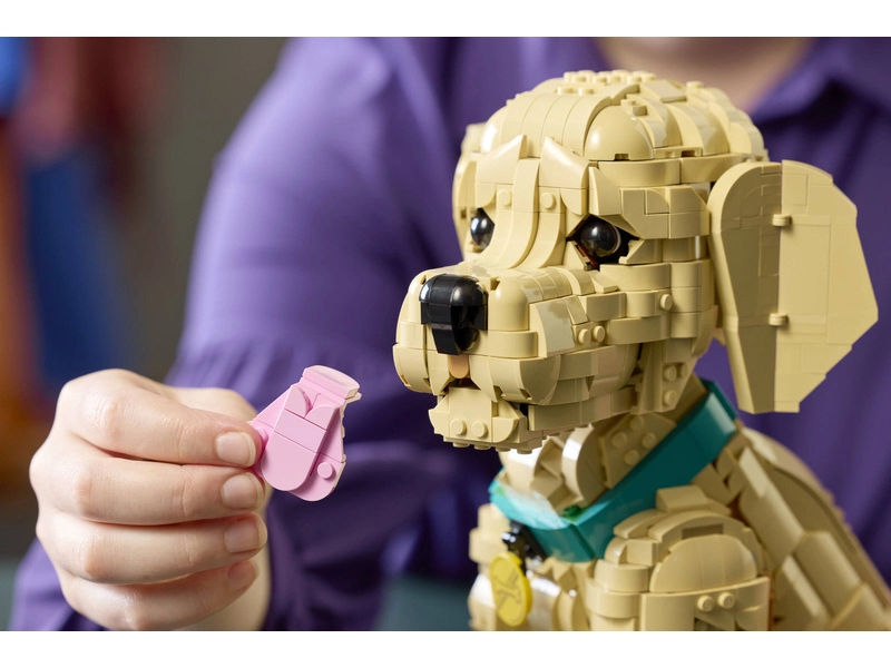 LEGO Icons - Štěně zlatého retrívra