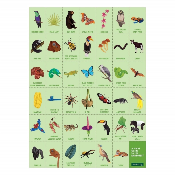 Mudpuppy Puzzle Hledání v deštném pralese