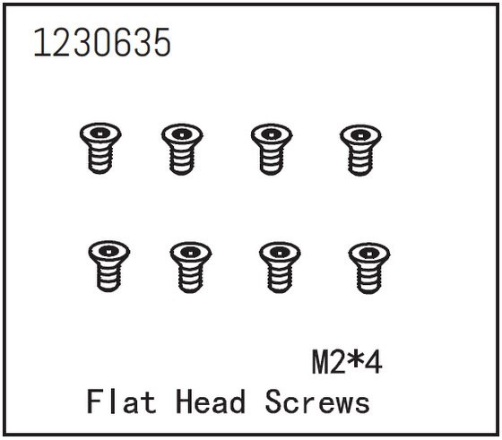 Flat Head Screw M2*4 (8)