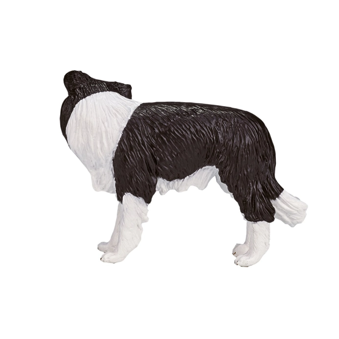 Mojo Border kolie