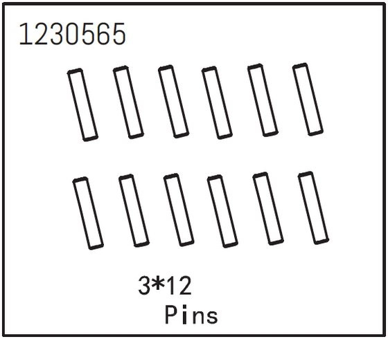 Piny 3×12 (12)