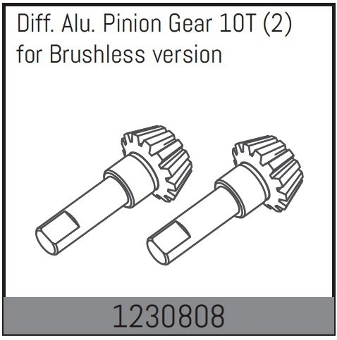 1230808 - Differential Gear 10T (2)