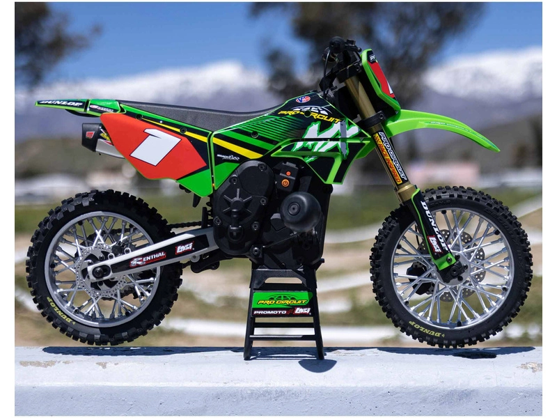 Losi Promoto-MX Motorcycle 1:4 RTR, Pro Circuit