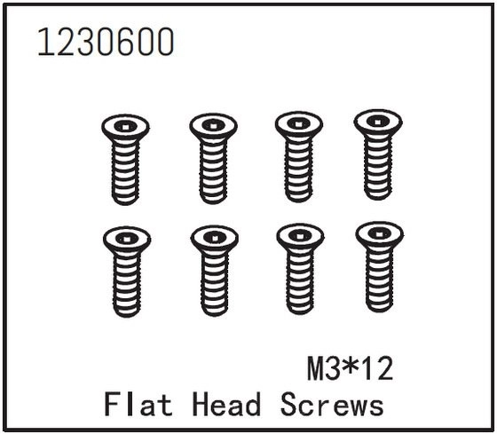 Flat Head Screw M3*12 (8)