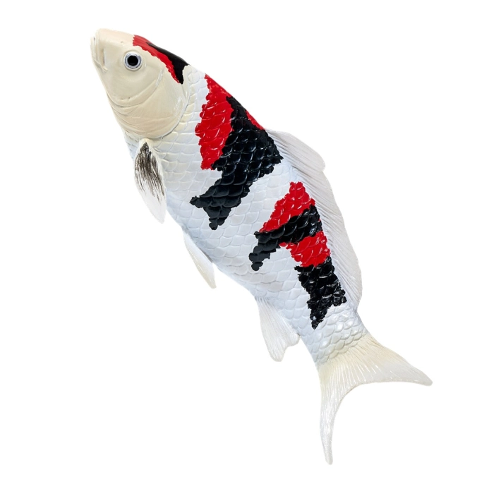 Mojo Kapr koi showa sanshoku