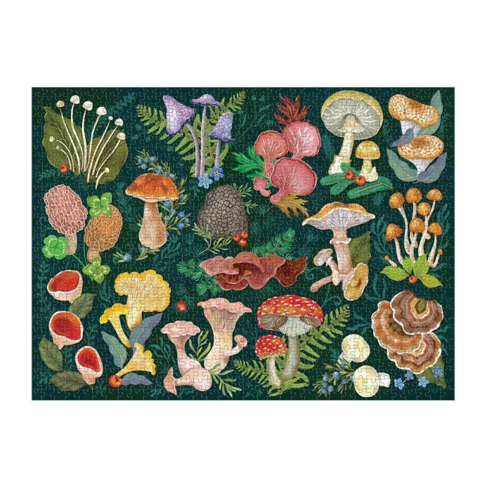 Galison Puzzle Svet húb 1000 dielikov