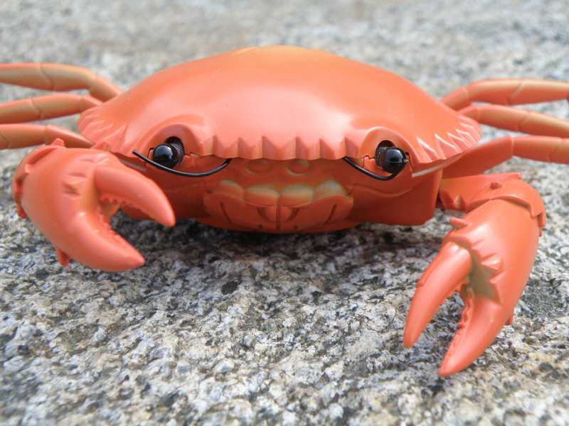 Krab na diaľkové ovládanie, oranžová