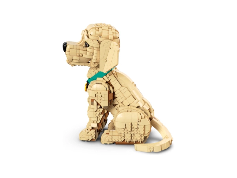 LEGO Icons - Štěně zlatého retrívra