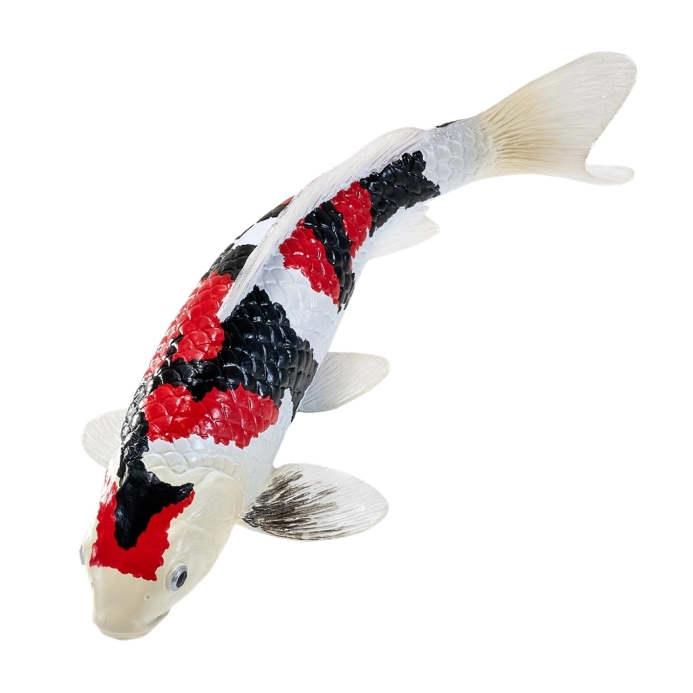 Mojo Kapr koi showa sanshoku