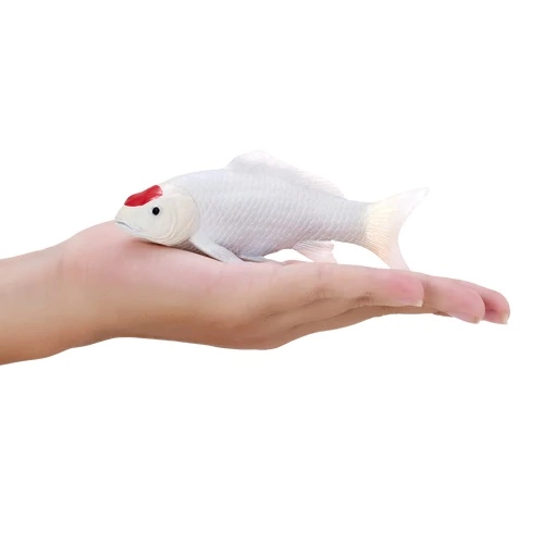 Mojo Kapr koi tancho