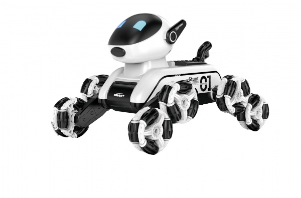 RoboDog Fleg