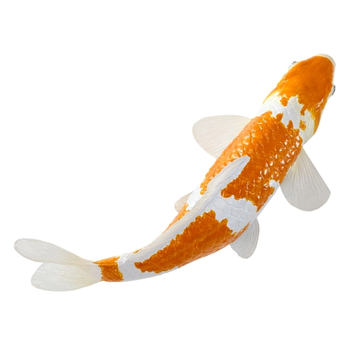 Mojo Kapr koi ochiba shigure