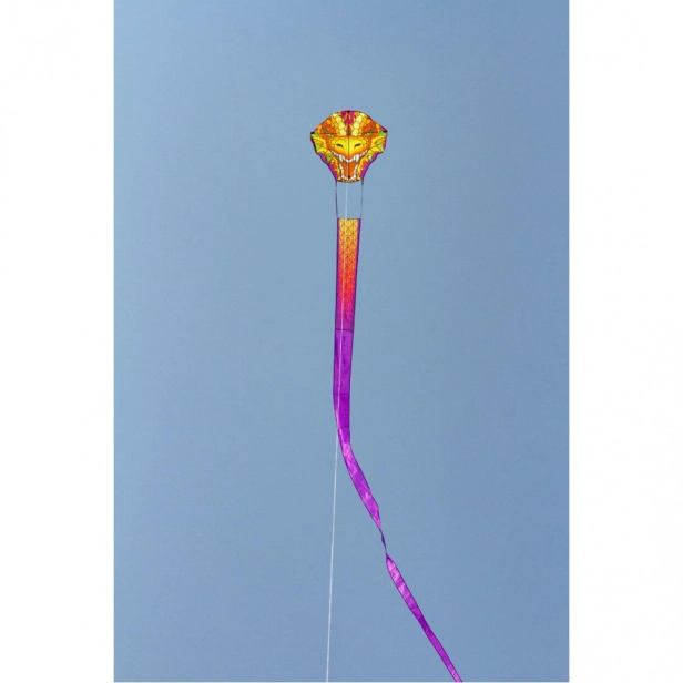Lietajúci šarkan Dragonhead Kite