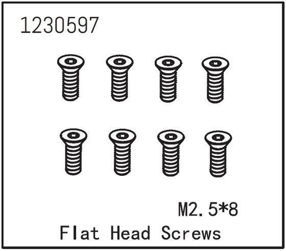 Flat Head Screw M2.5*8 (8)