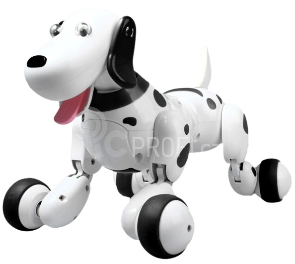 BAZÁR – RC Robo-Dog pes