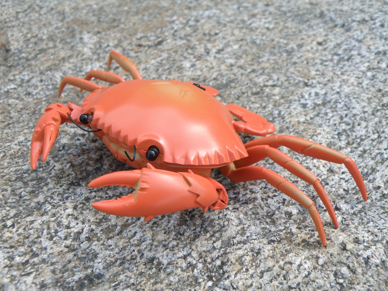 Krab na diaľkové ovládanie, oranžová