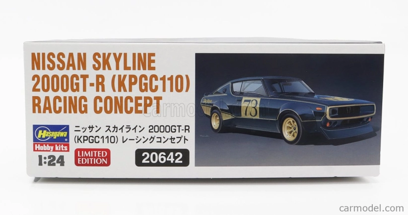 Hasegawa Nissan Skyline 2000 Gt-r N 73 (kpgc110) Racing Concept 1973 1:24 /