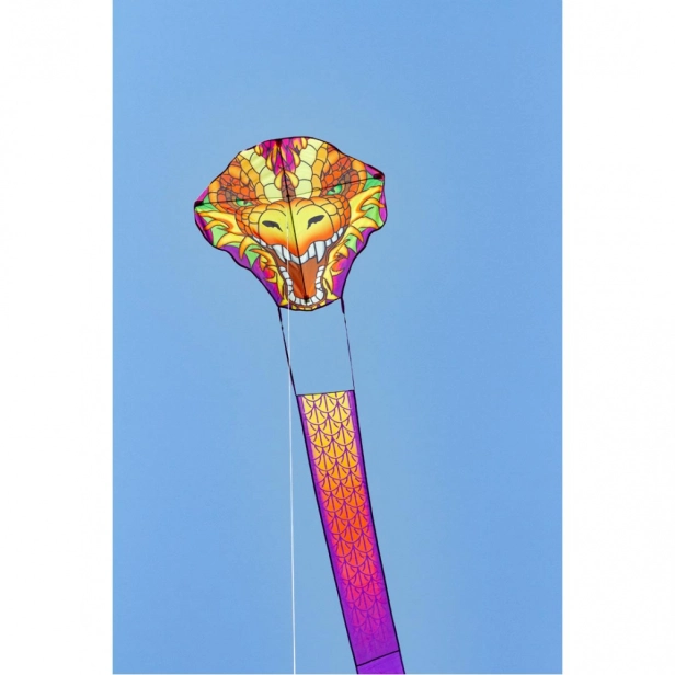 Lietajúci šarkan Dragonhead Kite