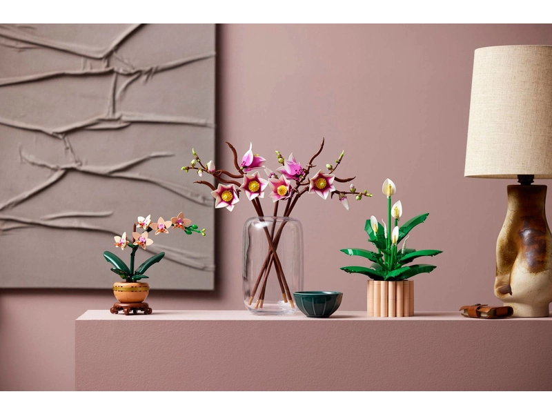 LEGO Botanicals - Větvičky magnólie
