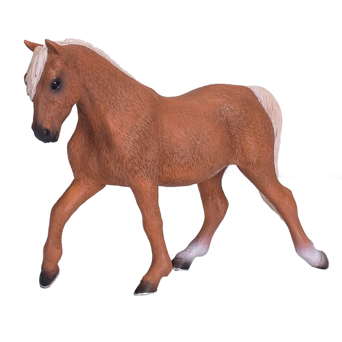 Mojo Kůň morgan palomino