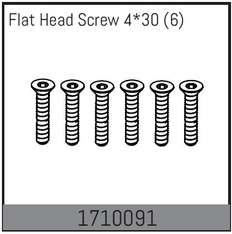 Flat Head Screw 4*30 (6)