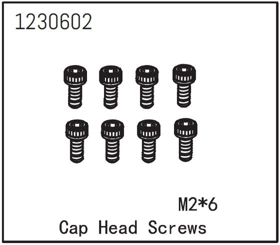 Cap Head Screw M2*6 (8)