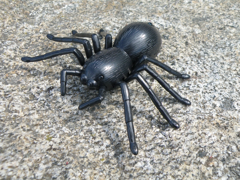 RC pavouk