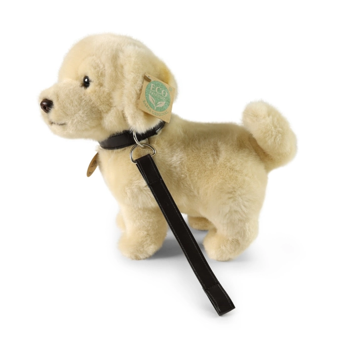 Rappa Plyšový pes zlatý retriever stojaci s vôdzkou 25 cm ECO-FRIENDLY