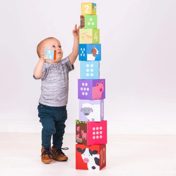 Bigjigs Toys Didaktické kostky farma