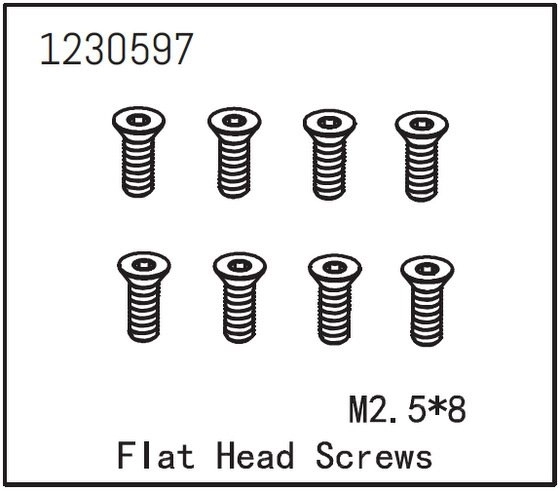 Flat Head Screw M2.5*8 (8)