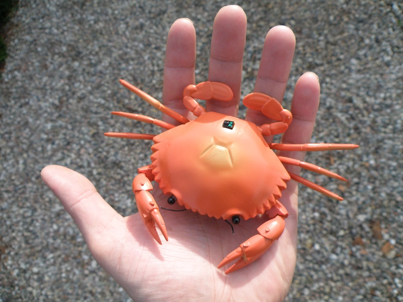 Krab na diaľkové ovládanie, oranžová