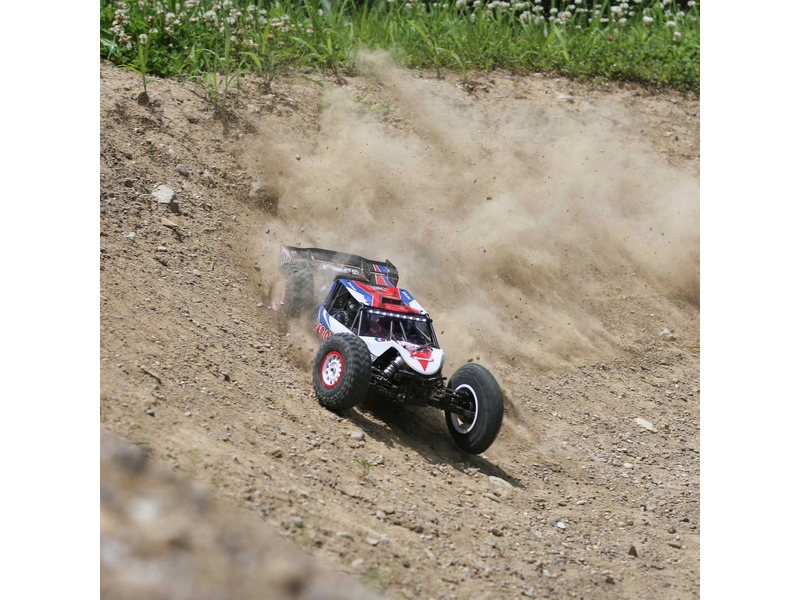 RC auto Losi Tenacity Pro 1:10 4WD RTR Lucas Oil