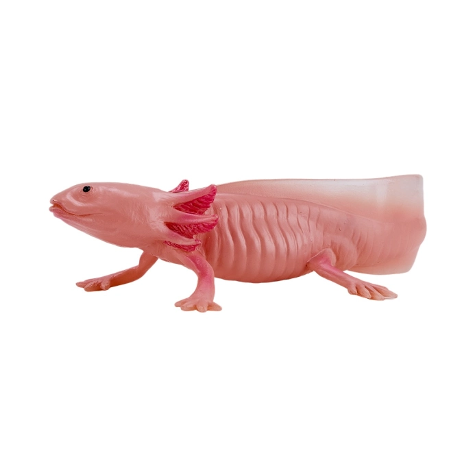 Mojo Axolotl