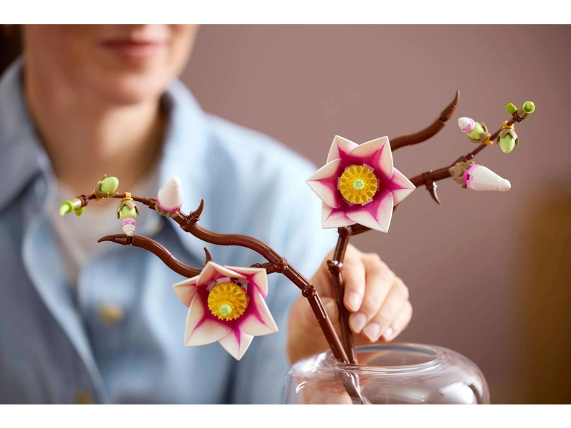 LEGO Botanicals - Větvičky magnólie
